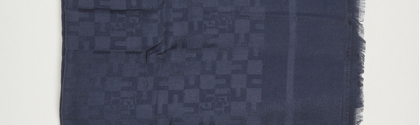 Elisabetta Franchi Sciarpa Pattern Logo In Misto Viscosa TWILIGHT SC10F56E2 