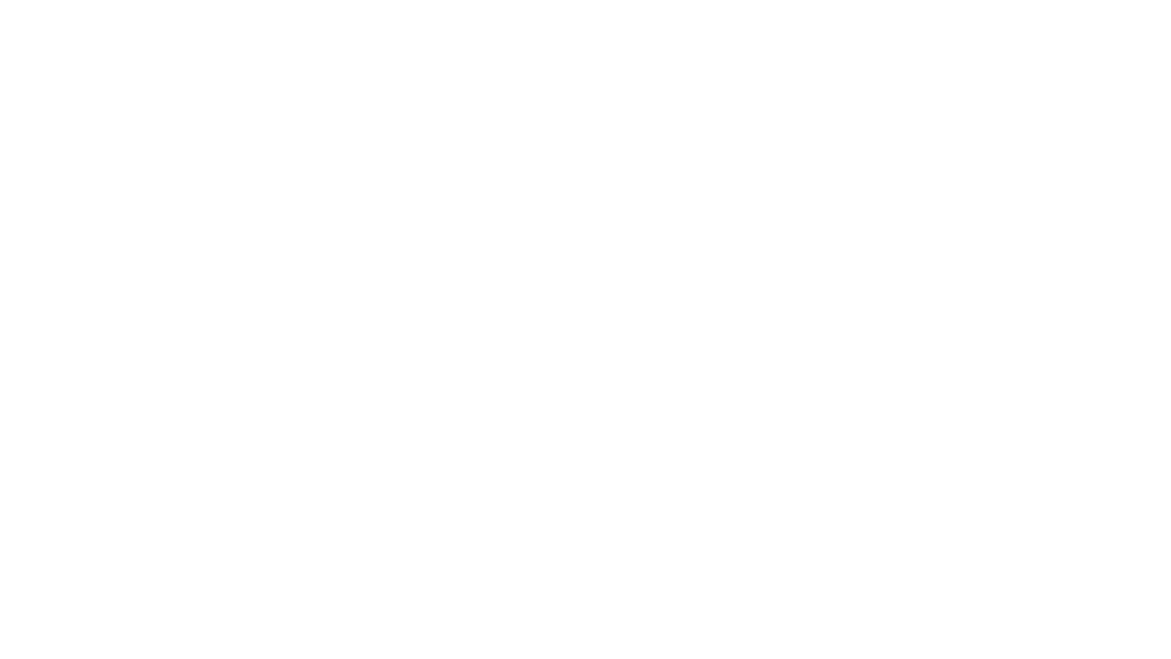 Aniye by logo