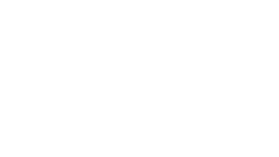 Fabiana Ferri logo