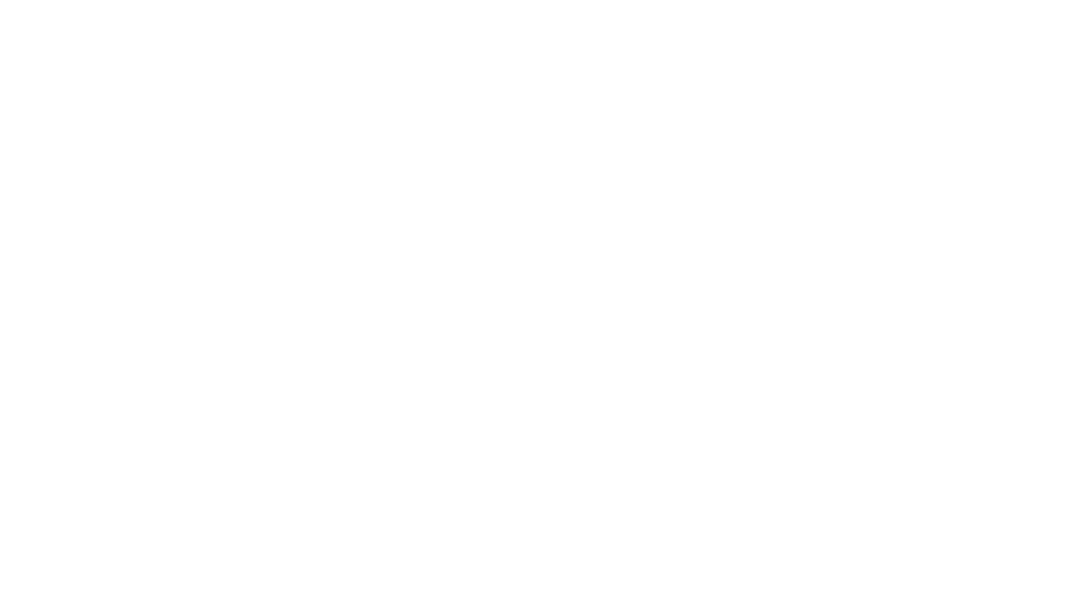 Just Cavalli