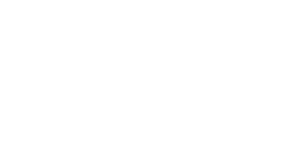 Patrizia Pepe logo