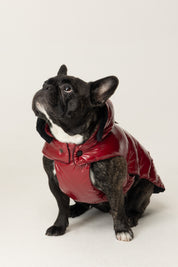 Montereggi Piumino Per Cani FW47599 722 GLOSSY AMARENA