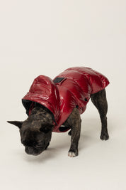 Montereggi Piumino Per Cani FW47599 722 GLOSSY AMARENA