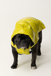 Montereggi Piumino Per Cani FW47599 722 GLOSSY LIME