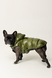 Montereggi Piumino Per Cani FW47599 722 GLOSSY MILITARE