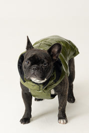 Montereggi Piumino Per Cani FW47599 722 GLOSSY MILITARE