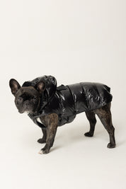 Montereggi Piumino Per Cani FW47599 722 GLOSSY NERO