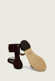 Elisabetta Franchi Sandali Flat In Suede con Logo Gioiello SA88L62E2 CACAO