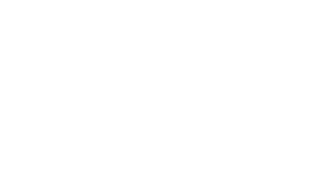 Twinset logo