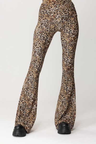 Aniye By  Rendal flared trousers with print 181363 LEO